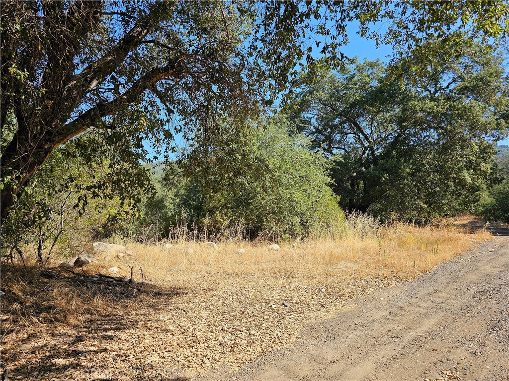 0 Highway 76 Property Photo 10