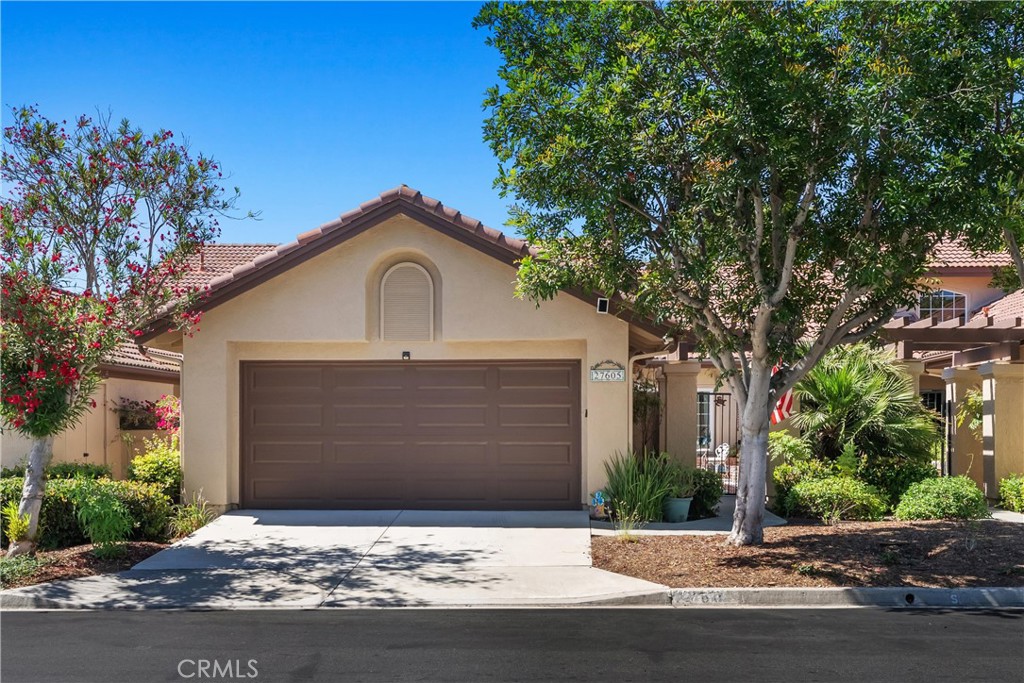 27605 Paseo Alondra Property Photo 1