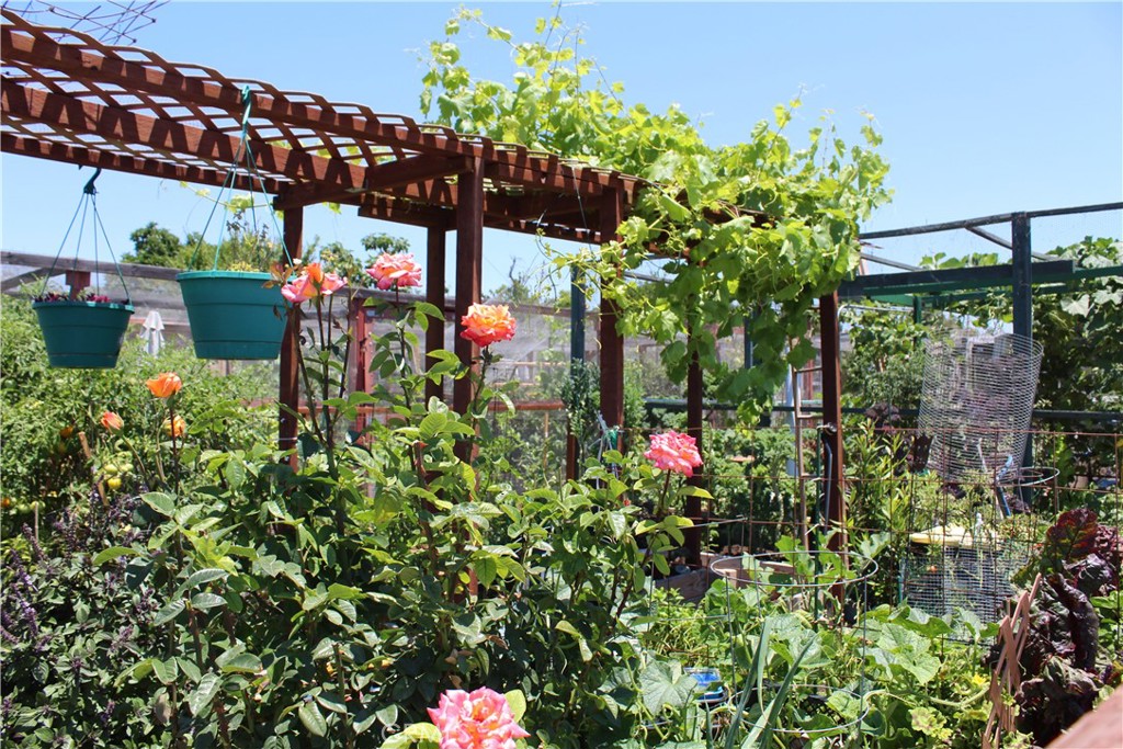 3106 Via Serena S N Property Photo 29
