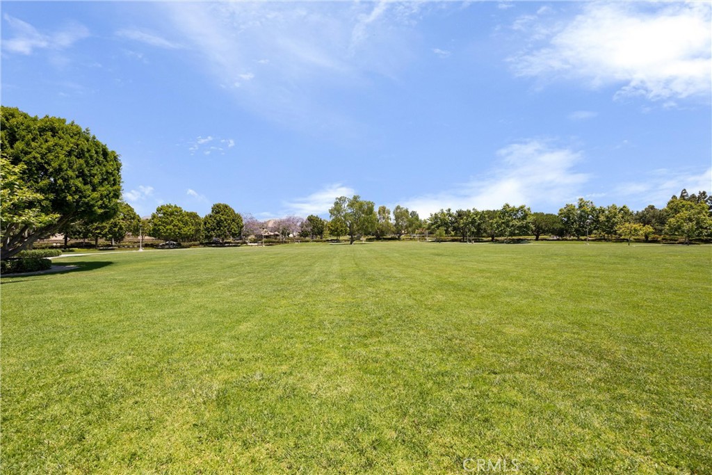 3229 Larkspur Street Property Photo 58