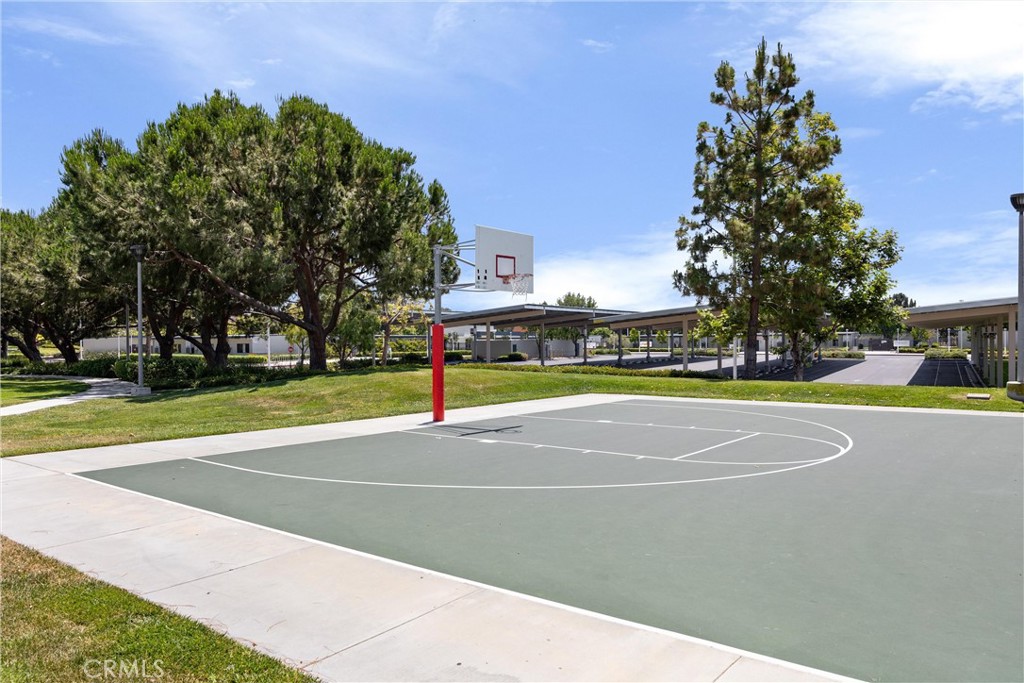 3229 Larkspur Street Property Photo 59