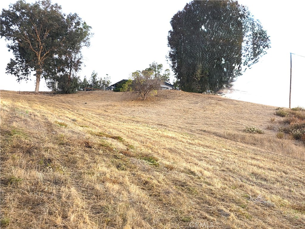 30925 Nicolas Road Property Photo 10