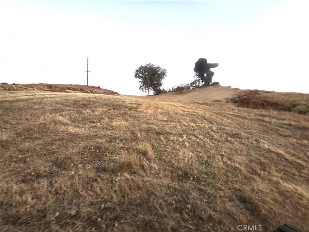 30925 Nicolas Road Property Photo 14