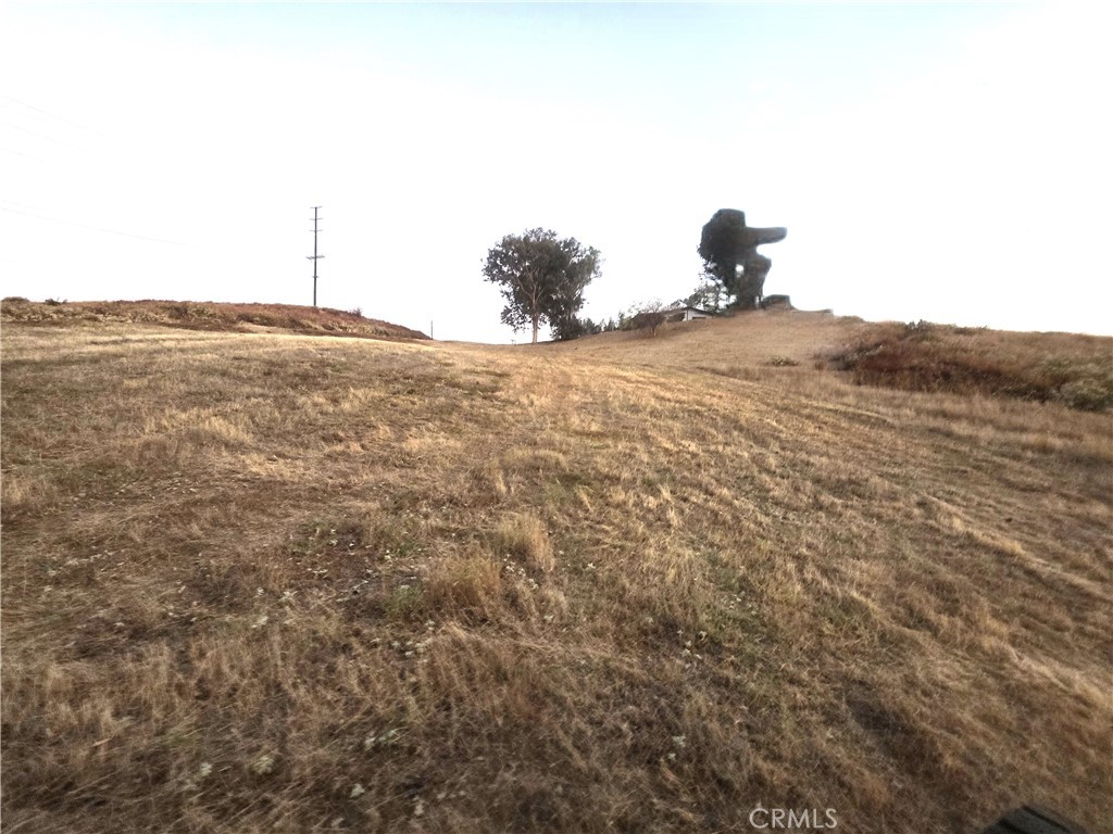 30925 Nicolas Road Property Photo 14
