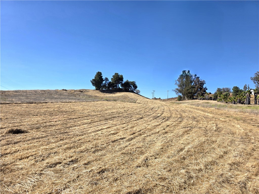 30925 Nicolas Road Property Photo 18