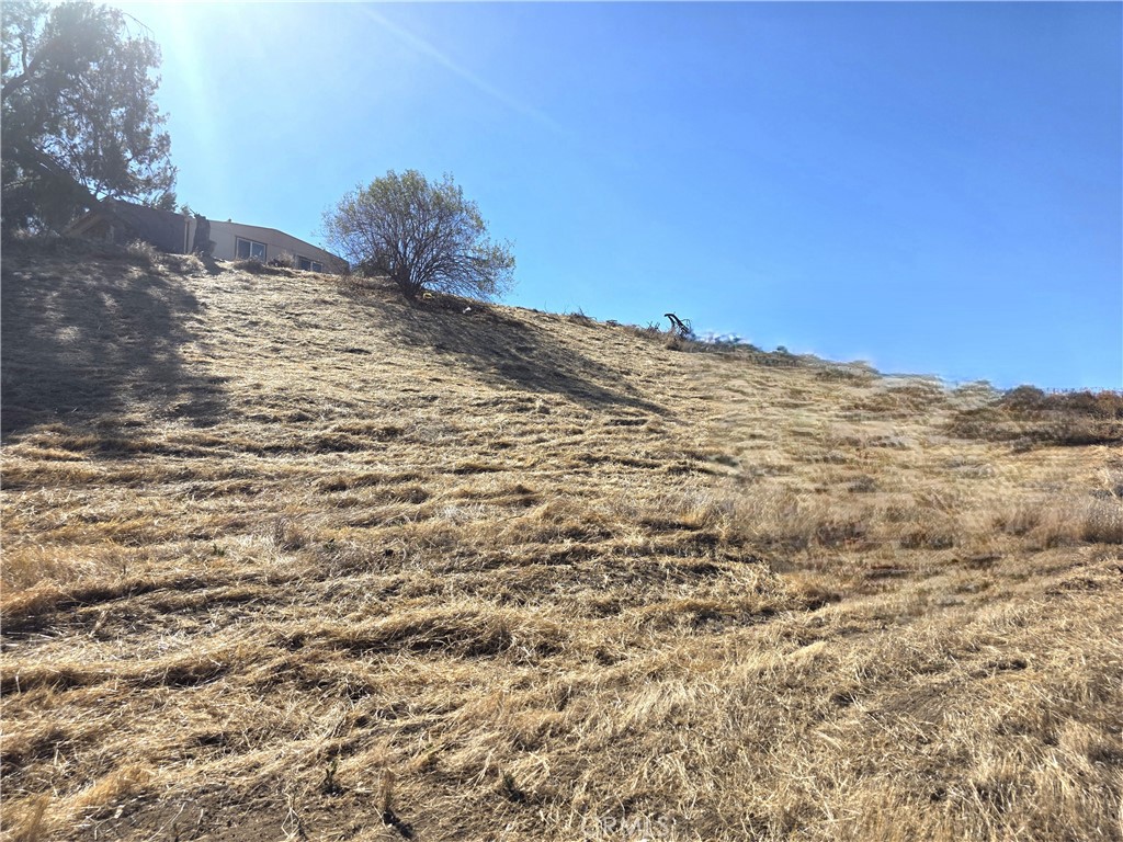 30925 Nicolas Road Property Photo 22