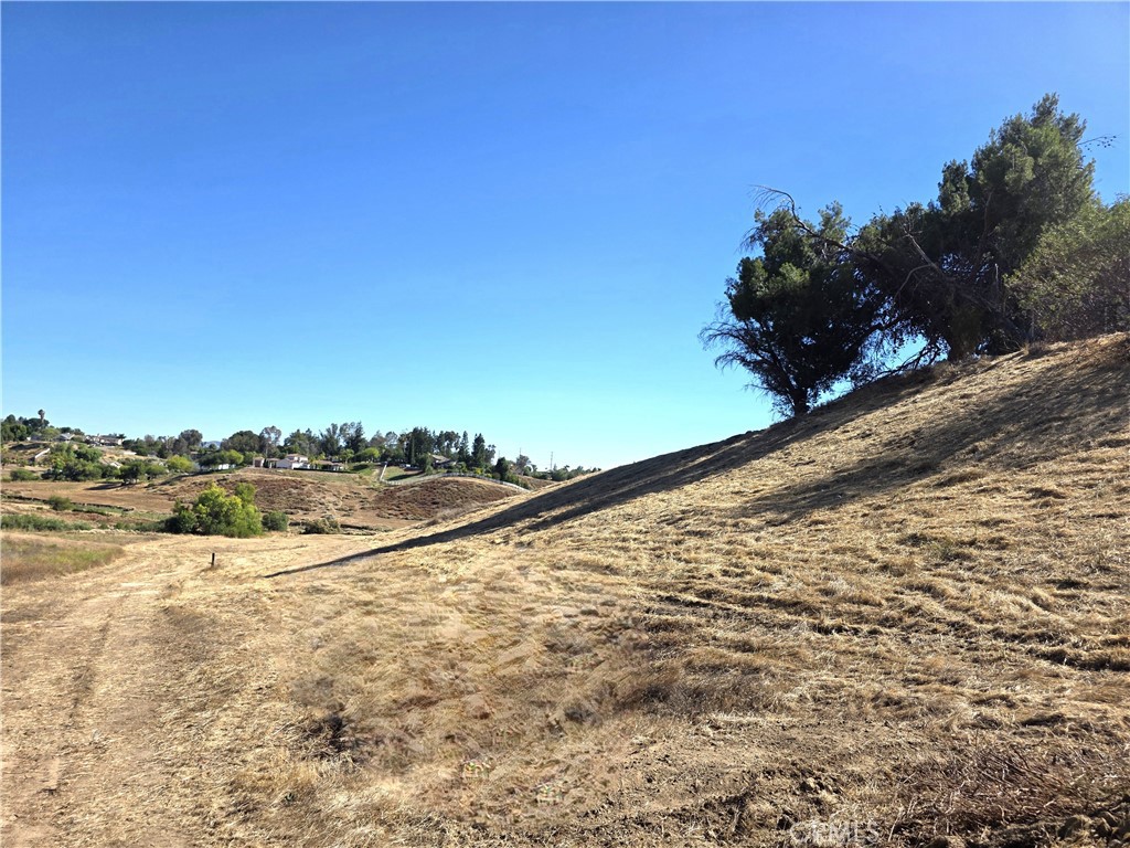 30925 Nicolas Road Property Photo 23