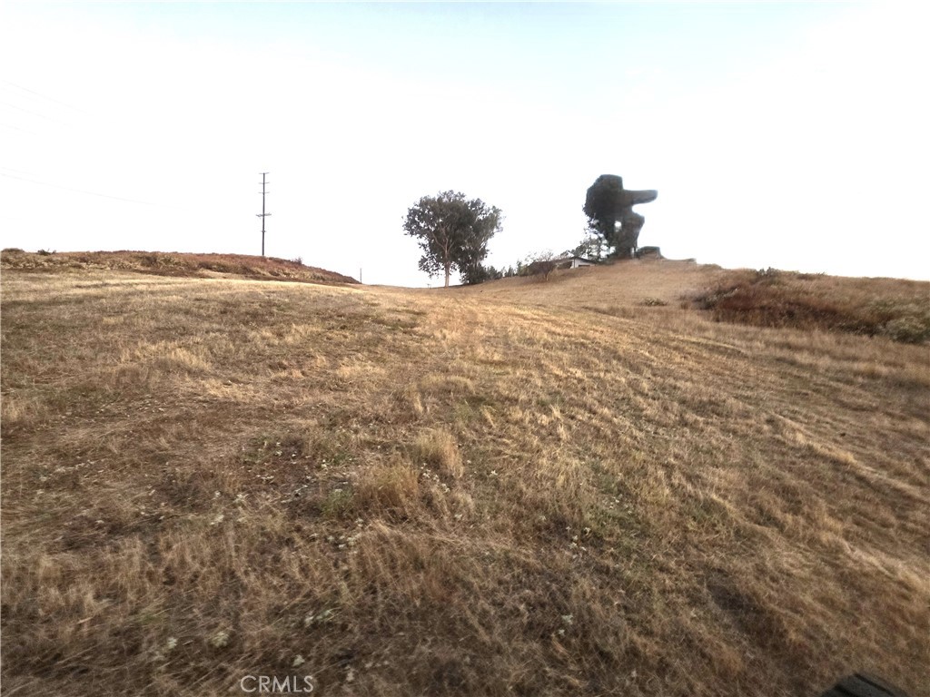 30925 Nicolas Road Property Photo 13