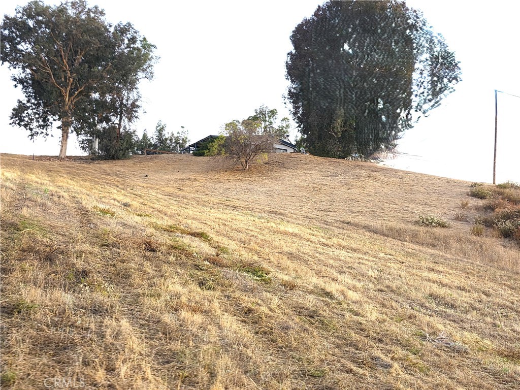 30925 Nicolas Road Property Photo 14