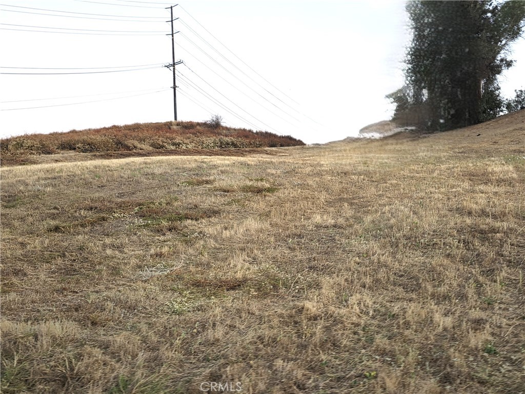 30925 Nicolas Road Property Photo 15