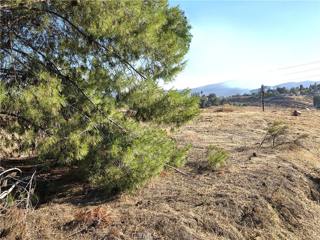 30925 Nicolas Road Property Photo 16