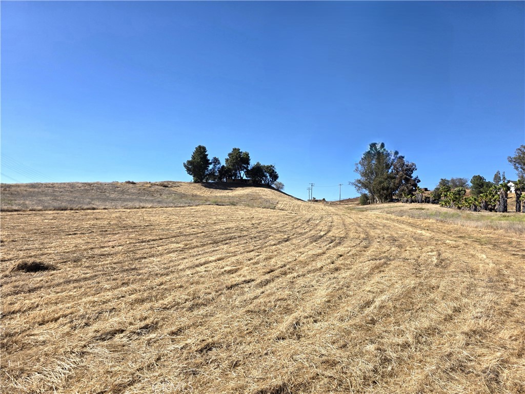 30925 Nicolas Road Property Photo 18