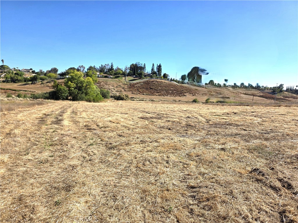 30925 Nicolas Road Property Photo 20