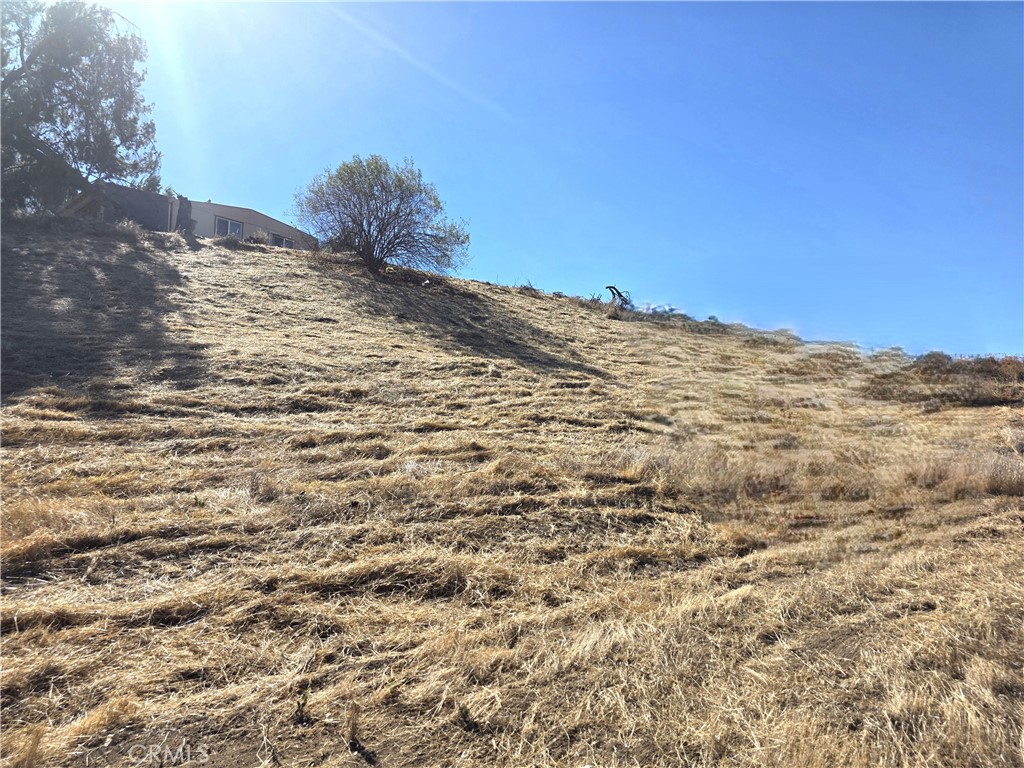 30925 Nicolas Road Property Photo 22