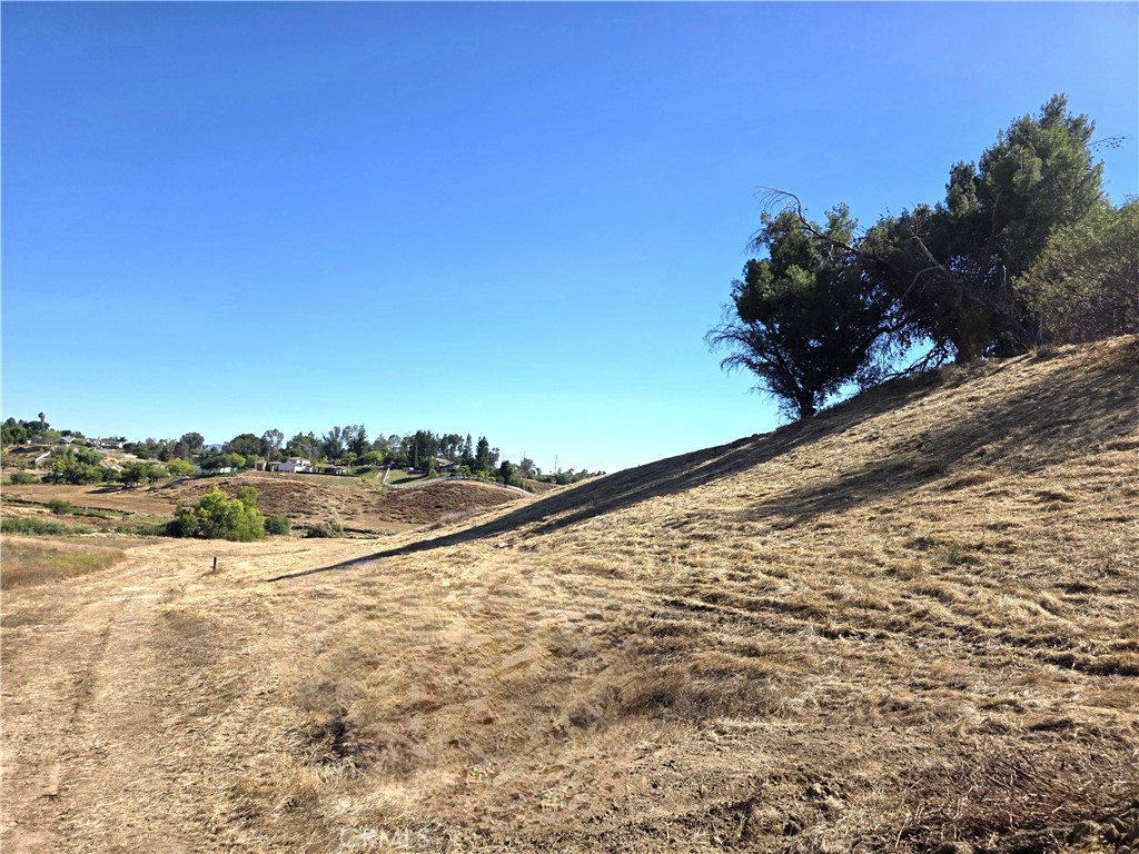 30925 Nicolas Road Property Photo 23