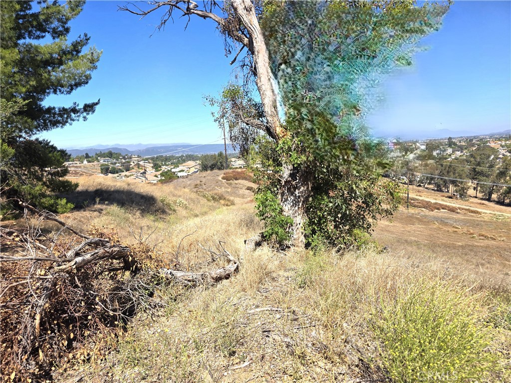 30925 Nicolas Road Property Photo 26