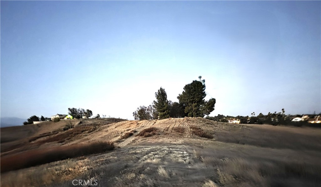 30925 Nicolas Road Property Photo 27