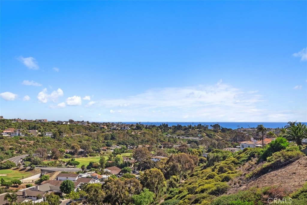 4 Via Del Tesoro Property Photo 44