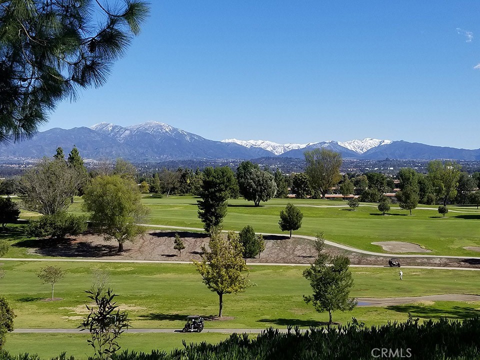 2402 Via Mariposa W 3b Property Photo 22