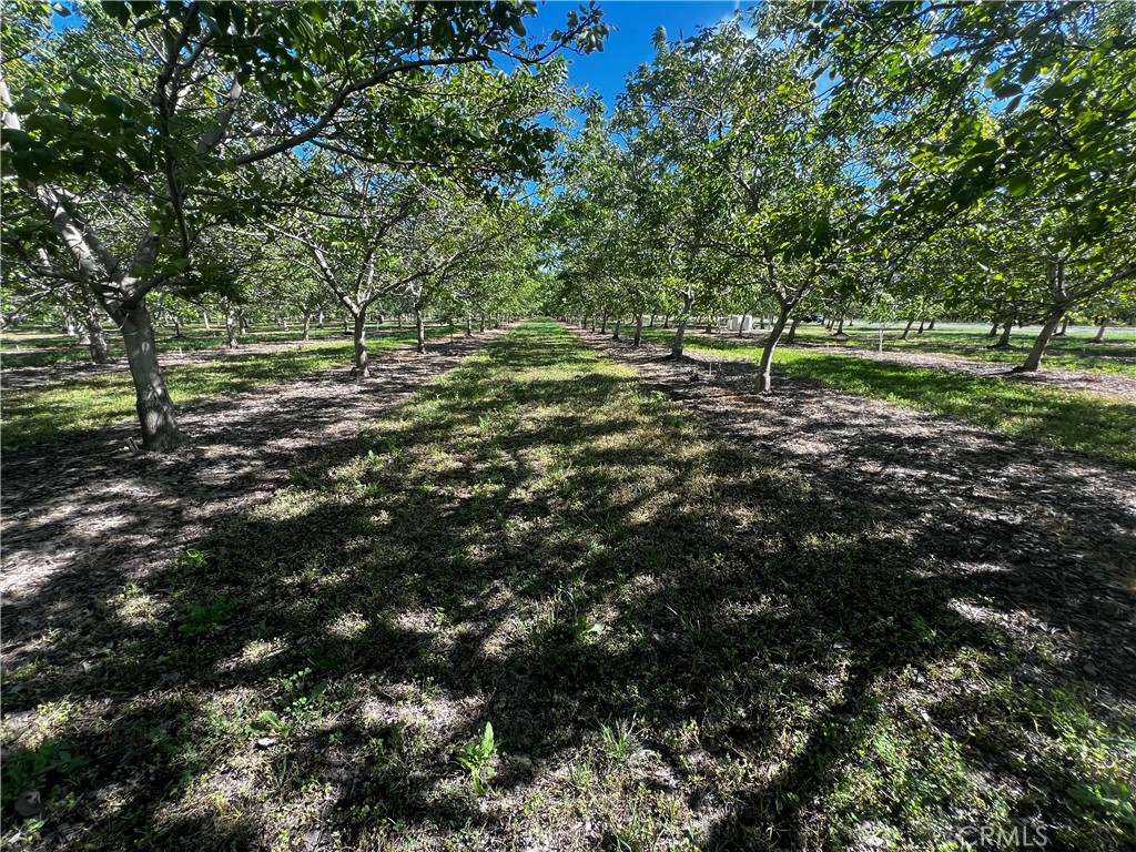 4180 County 203 Road Property Photo 1