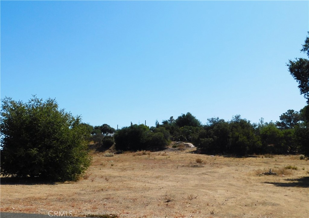 2 S. Main Divide Property Photo 8