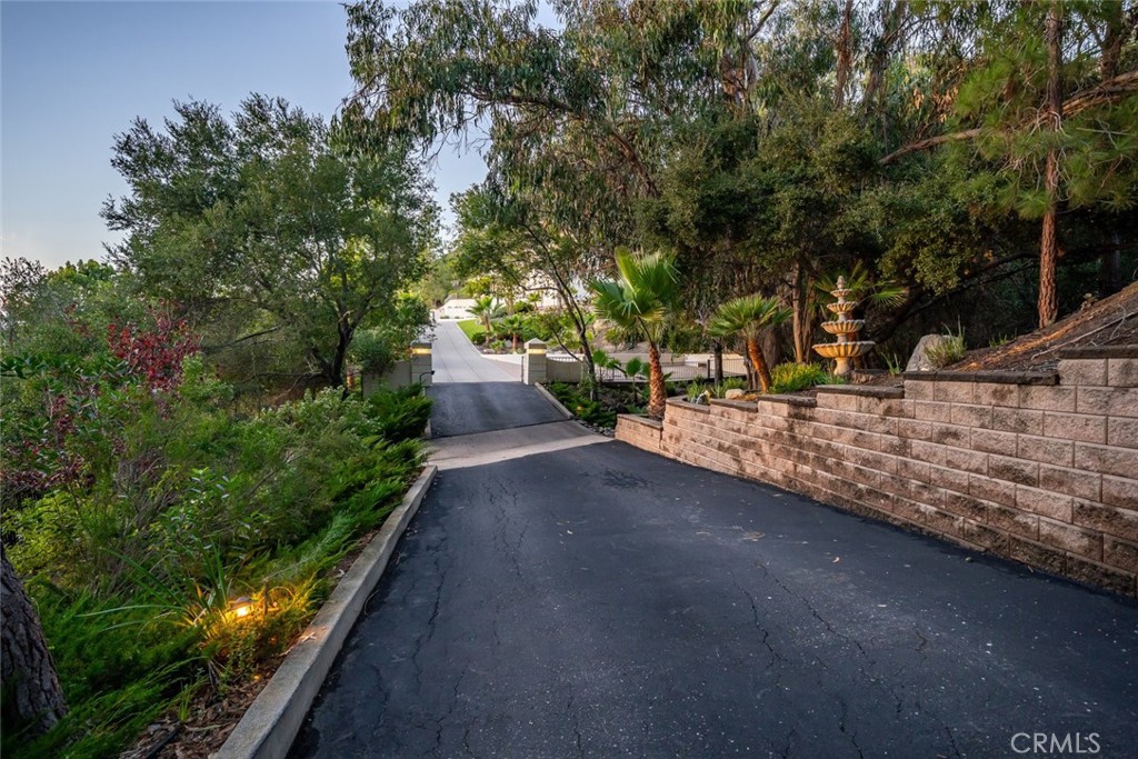 1854 Sydney Street Property Photo 38