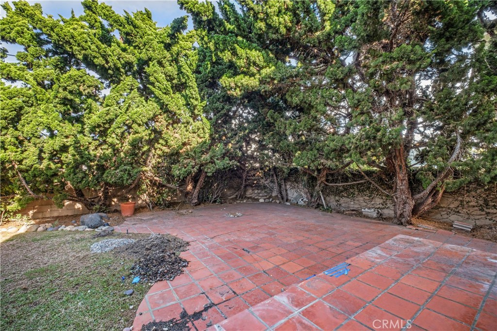 34866 Doheny Place Property Photo 42