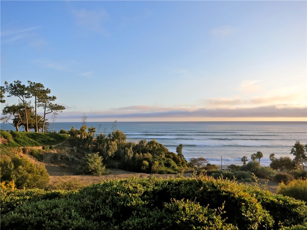 34866 Doheny Place Property Photo 59