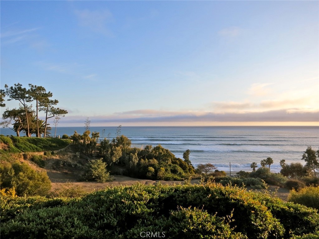 34866 Doheny Place Property Photo 60