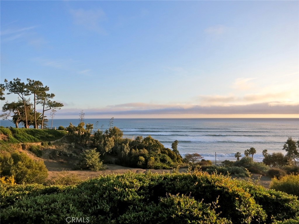 34866 Doheny Place Property Photo 60