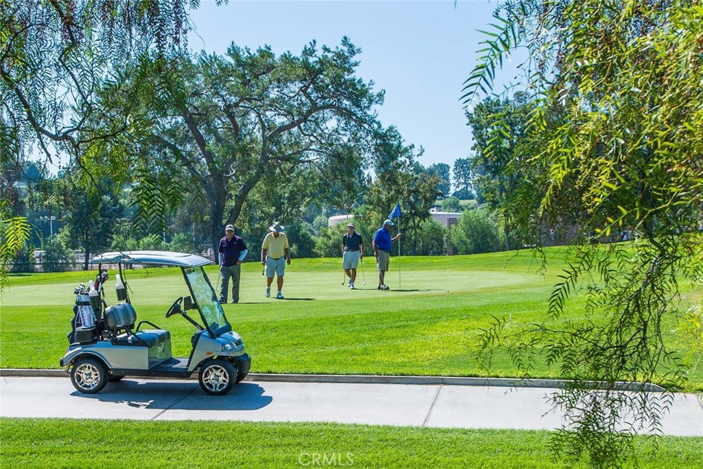 3003 Via Buena A Property Photo 19