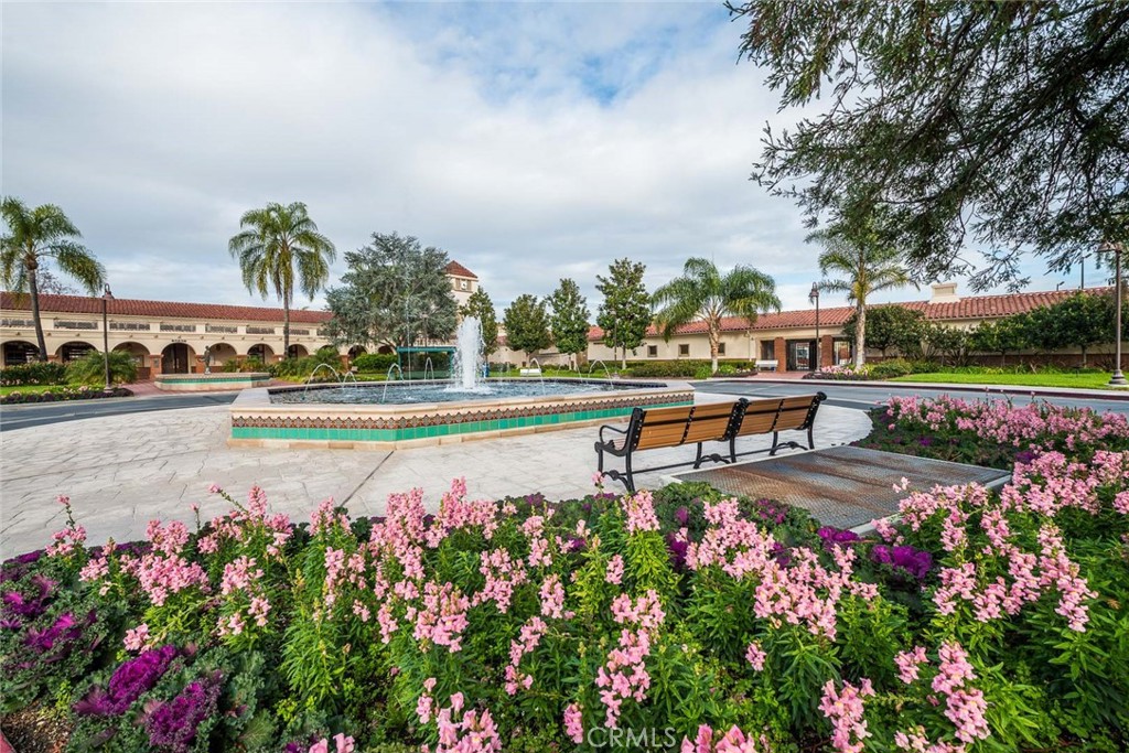 3003 Via Buena A Property Photo 20