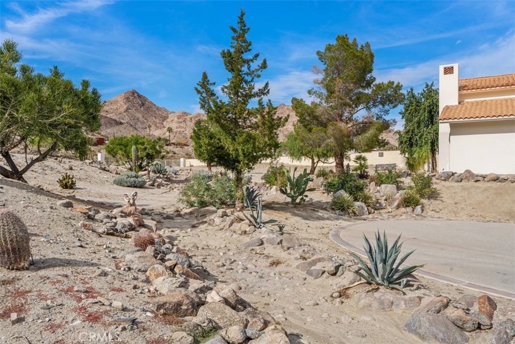 71410 Cholla Way Property Photo 35