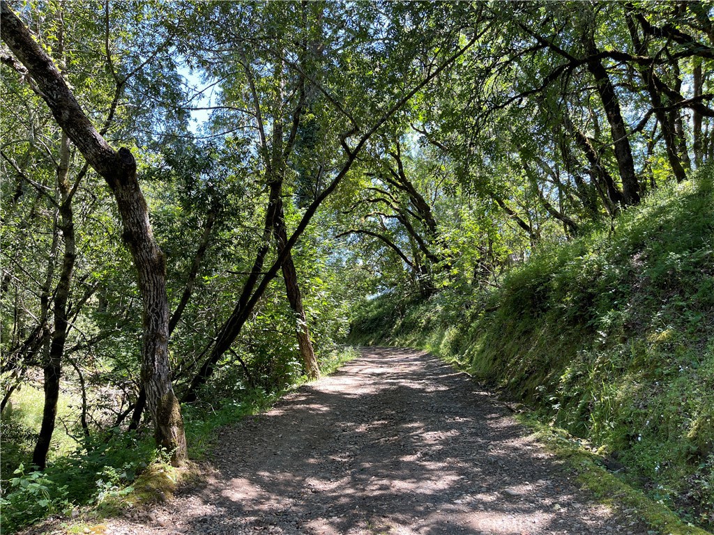 12760 Green Valley Road Property Photo 8