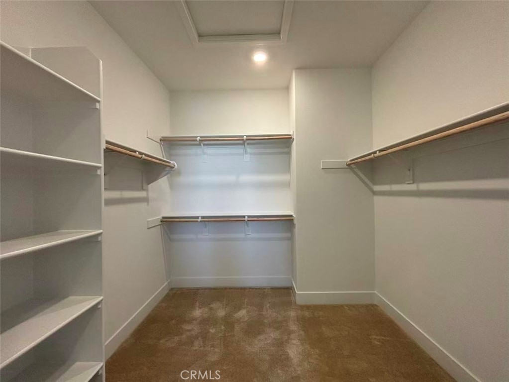 257 Shoveler Property Photo 9