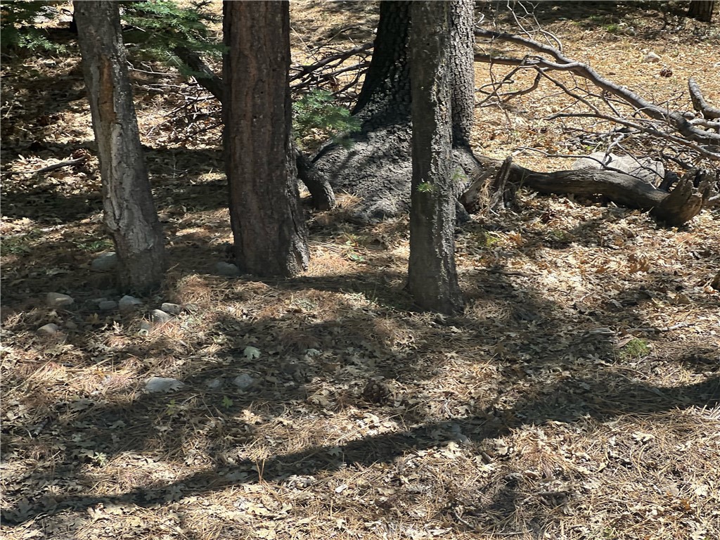 16 Tank Property Photo 1