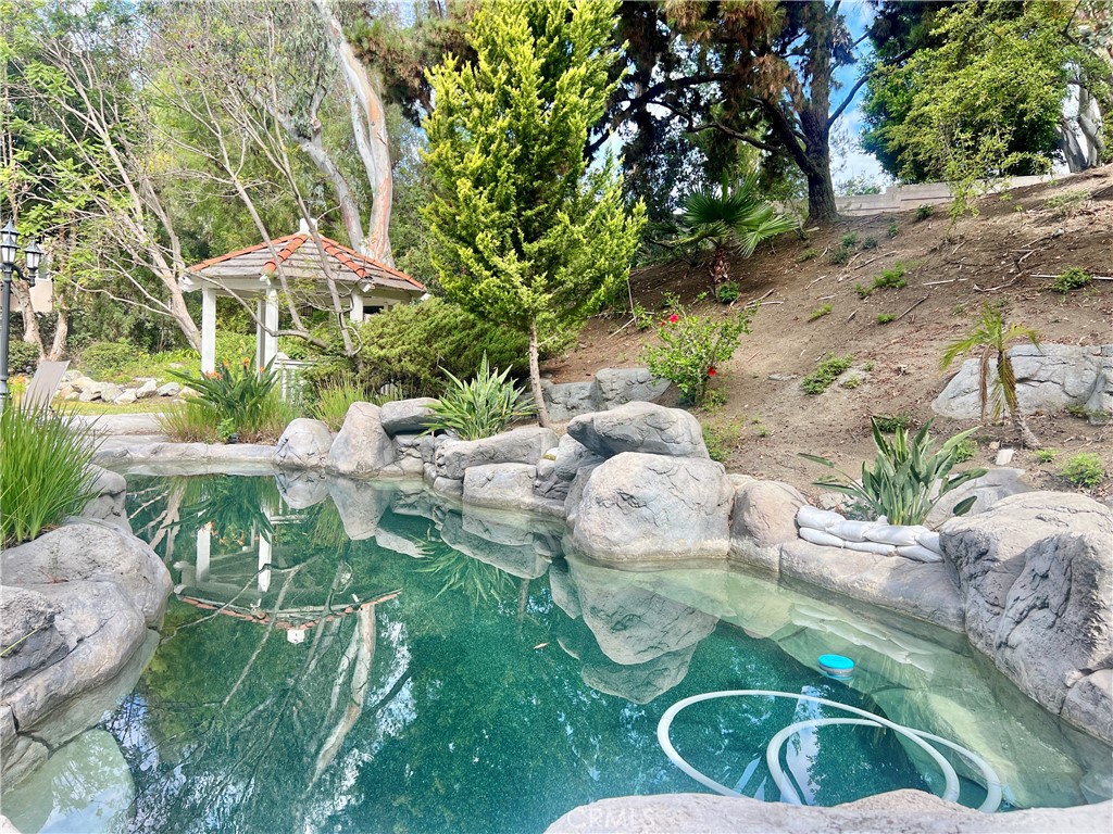 26612 Royale Drive Property Photo 47