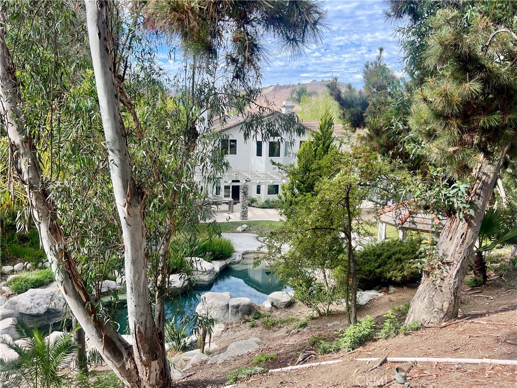 26612 Royale Drive Property Photo 48