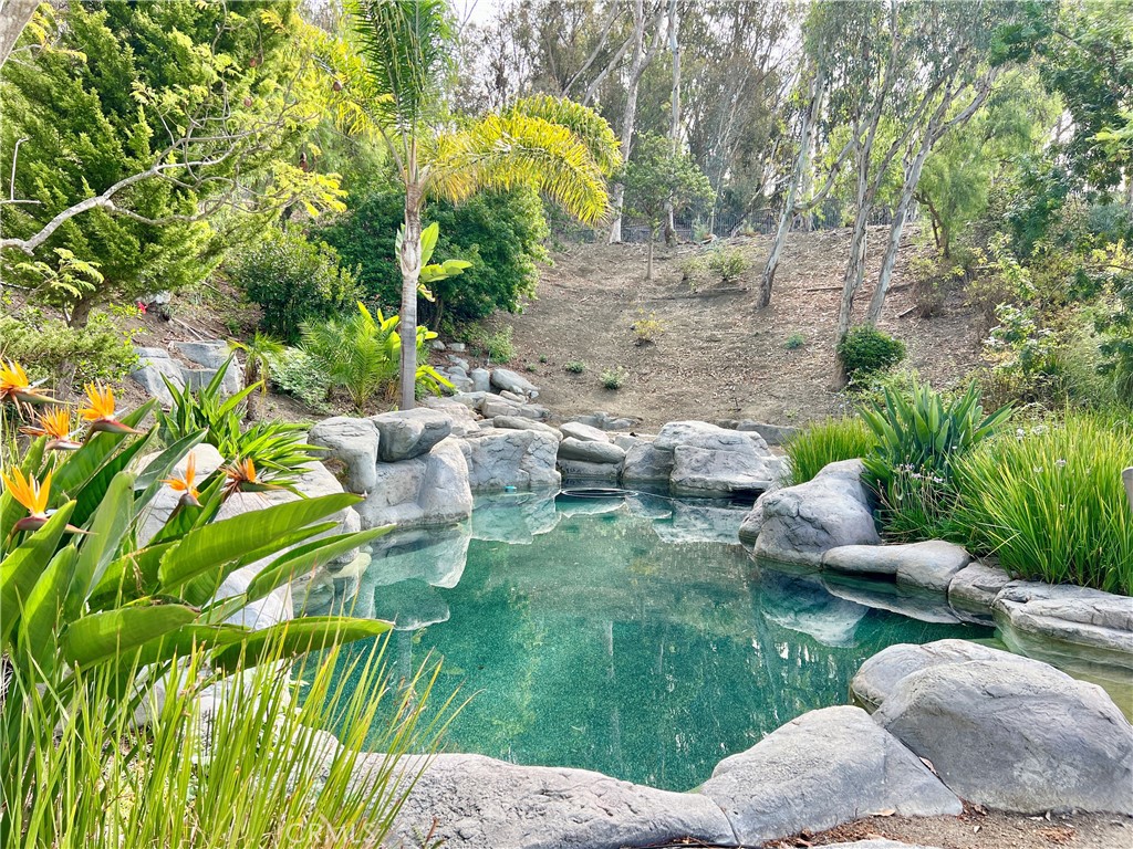 26612 Royale Drive Property Photo 49