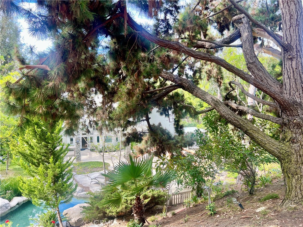 26612 Royale Drive Property Photo 52