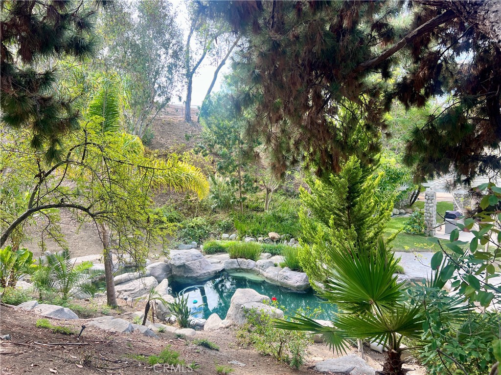 26612 Royale Drive Property Photo 54