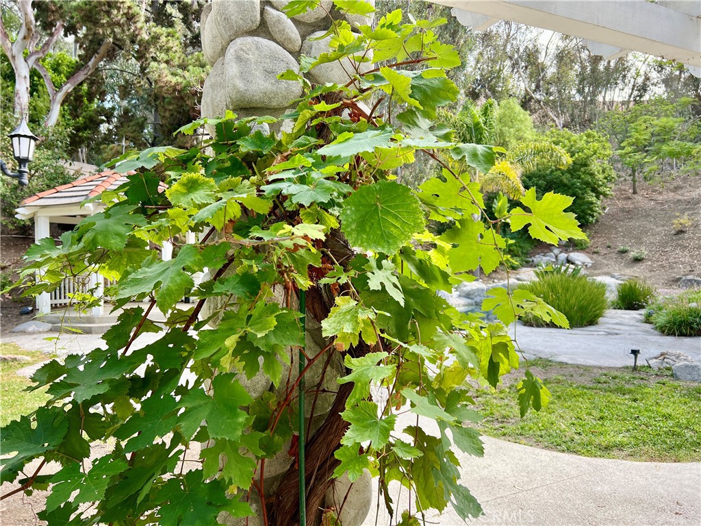 26612 Royale Drive Property Photo 55