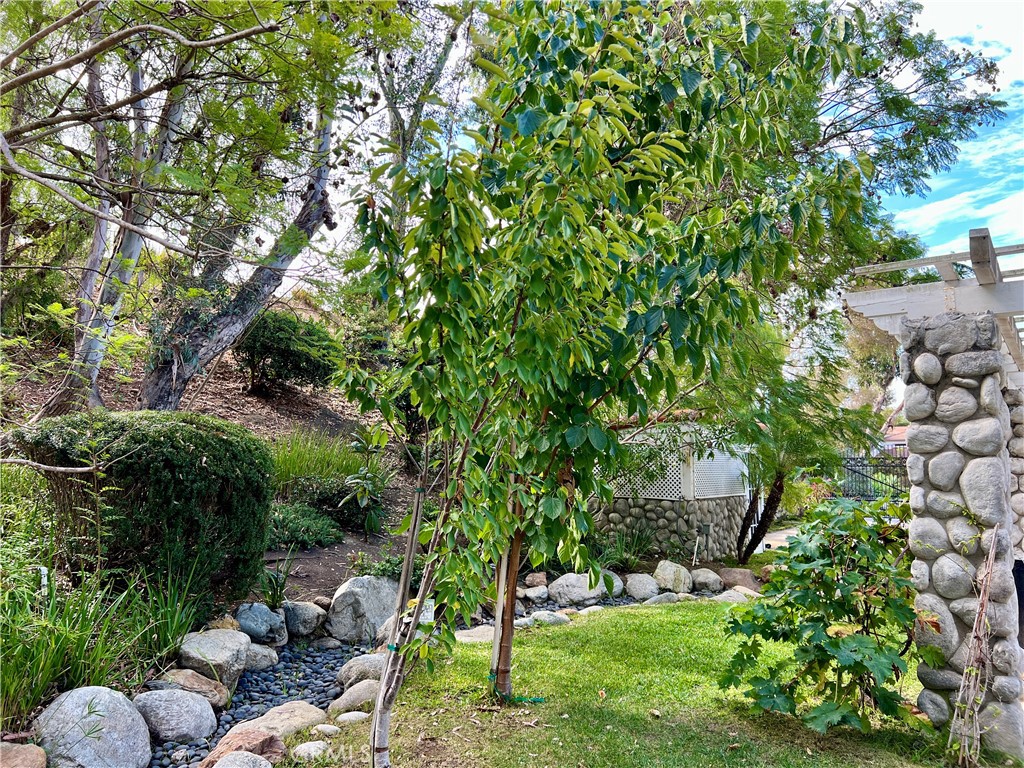 26612 Royale Drive Property Photo 56