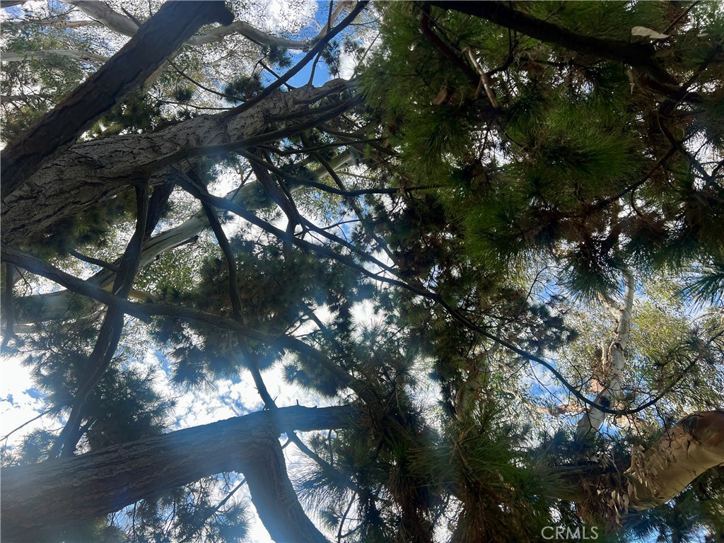 26612 Royale Drive Property Photo 57