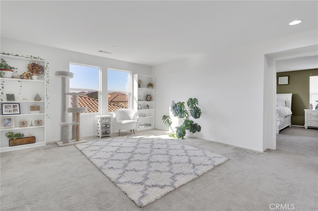 15954 Silver Tip Way Property Photo 25