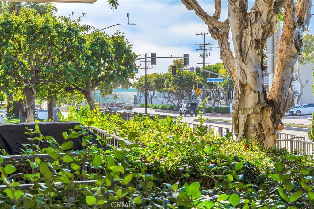 500 Cagney Lane 103 Property Photo 19