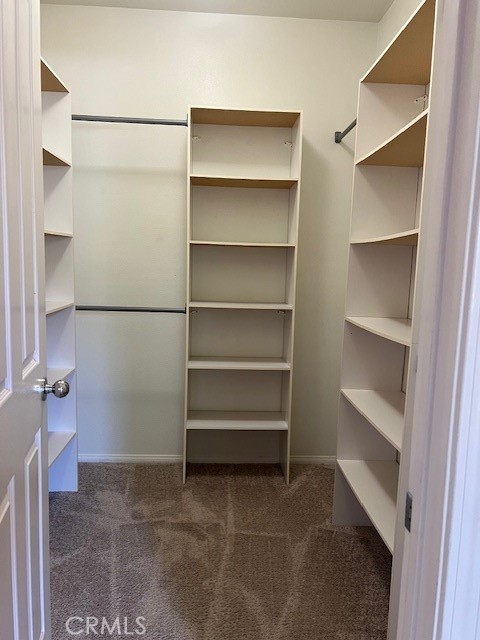 2103 Ladrillo Aisle 88 Property Photo 11