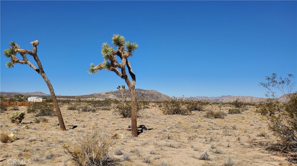 0 Landers Property Photo 1