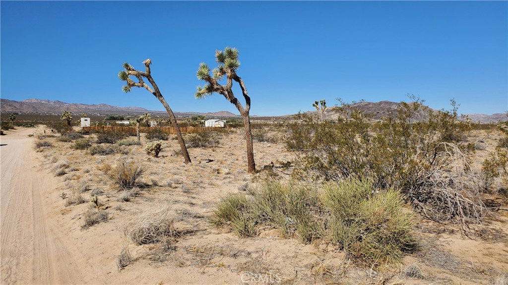 0 Landers Property Photo 4