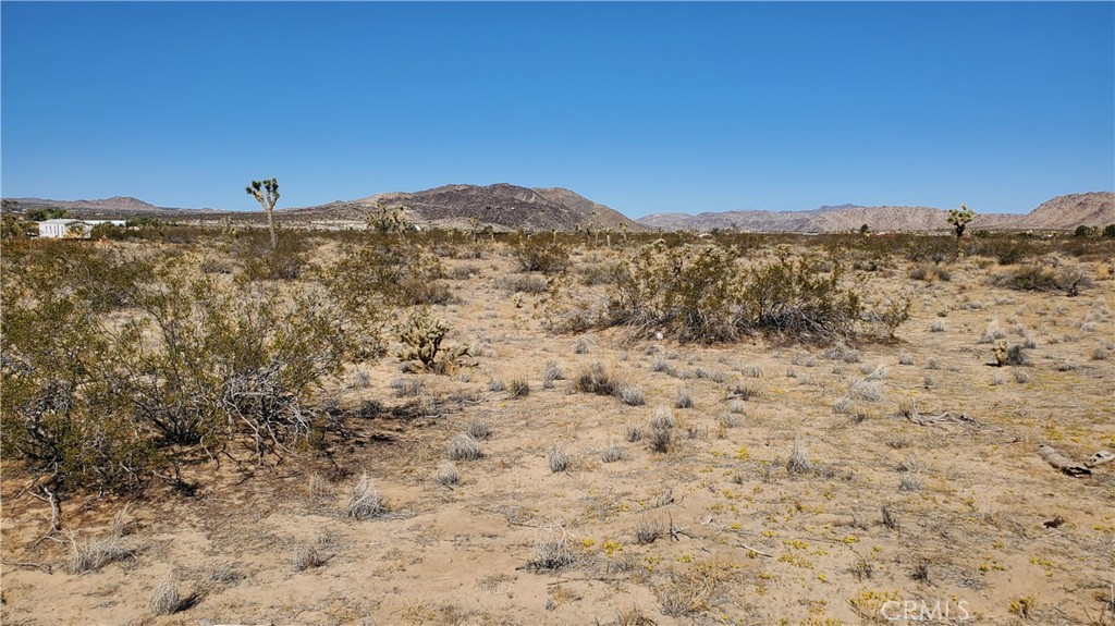 0 Landers Property Photo 6